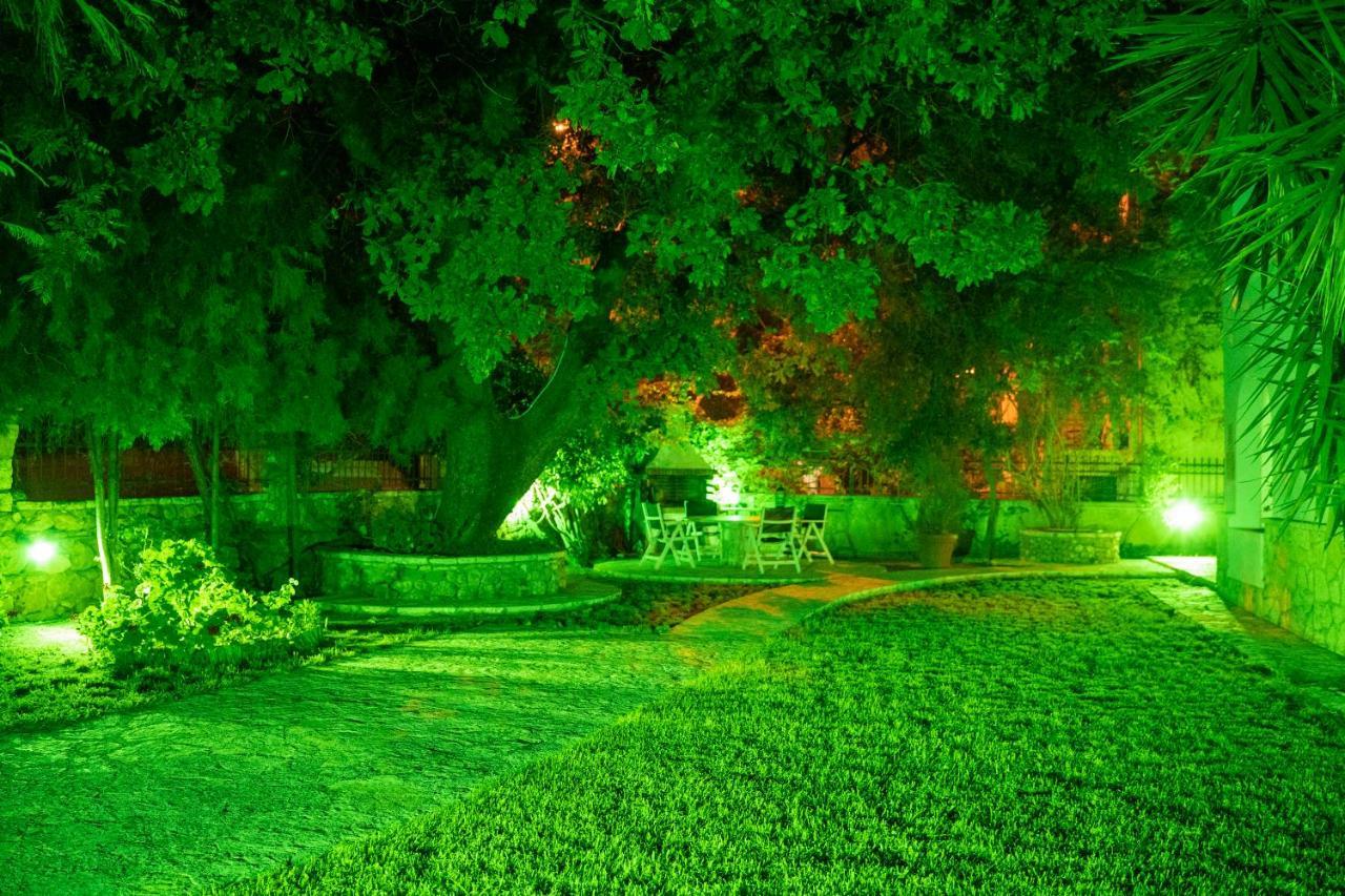Villa Dina Sivota  Exterior photo